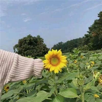 魔禁单职业官方版下载